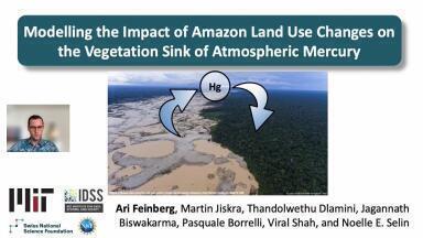Modelling the Impact of Amazon Land Use Changes on the Vegetation Sink of Atmospheric Mercury